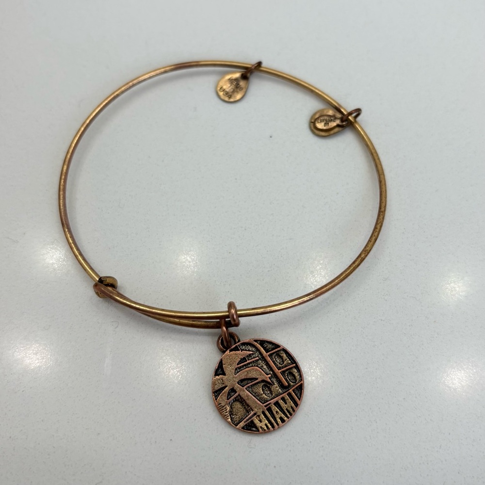 ALEX AND ANI Miami Charm Bangle Bracelet - Picture 2 of 2